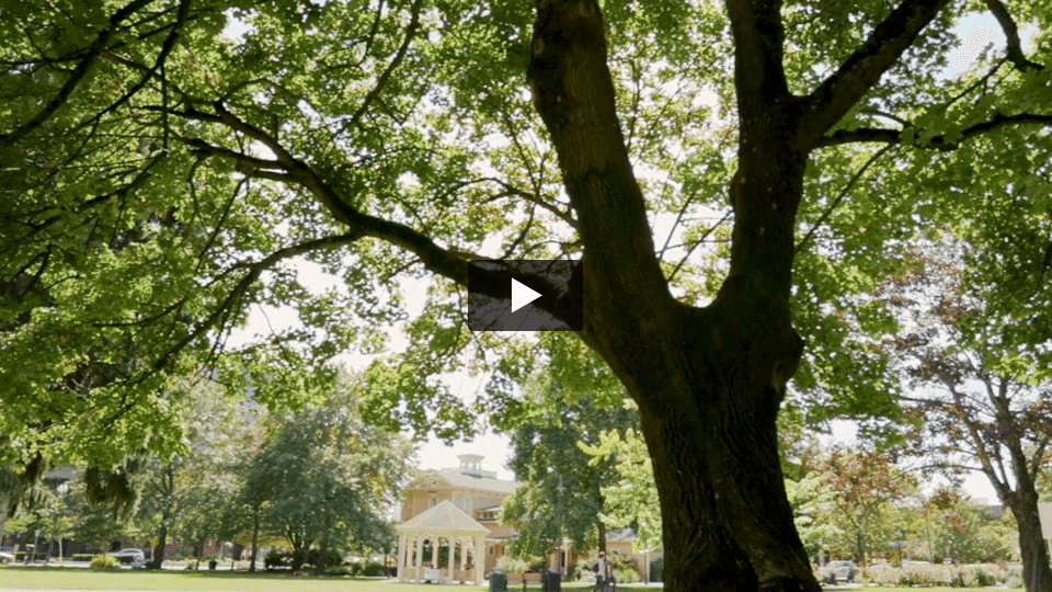 Women in Design - A Tribute by LSW